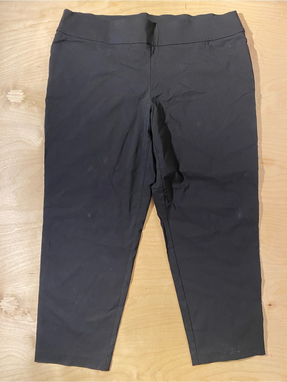 Terra & Sky Black Dress Pants 2X (20W-22W) (RK)
